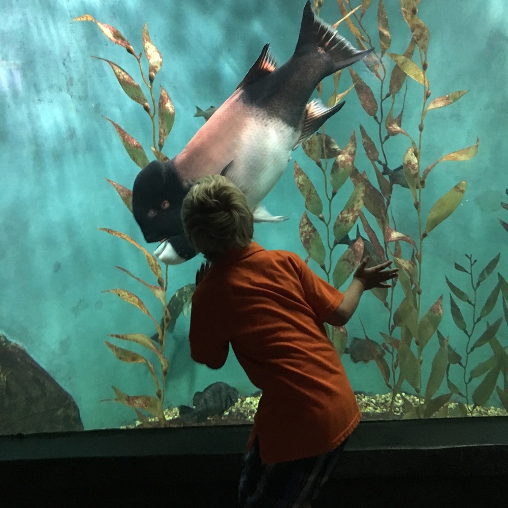 UPDATE: SEE DESCRIPTION😉 Meet your Posher, Jen